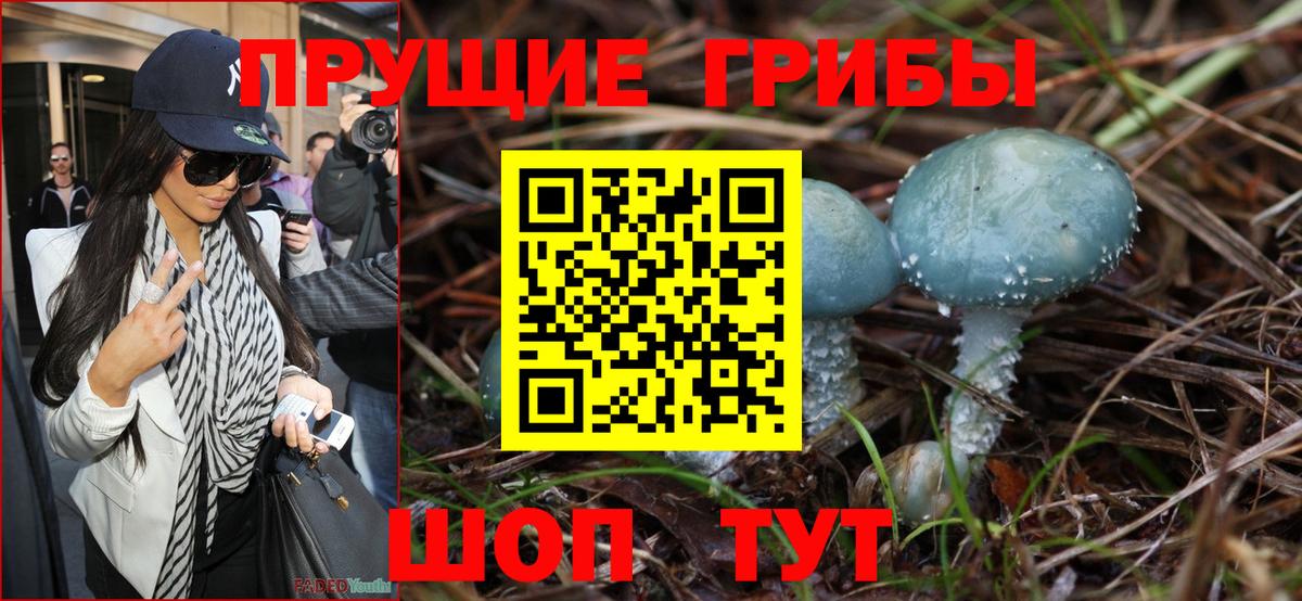Наро-Фоминск  Галлюциногенные грибы MAGIC MUSHROOMS  Вход с VPN 